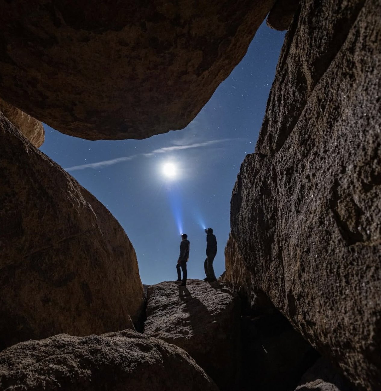 Joshua Tree under the stars